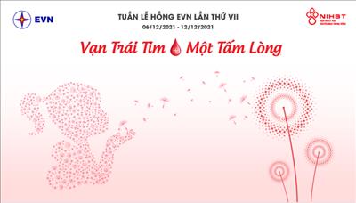 Công ty Thủy điện Tuyên Quang hưởng ứng Tuần lễ hồng lần thứ VII do EVN phát động (Video)